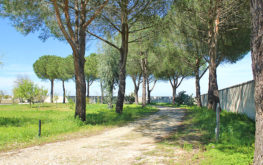 Giardino - Viale d'ingresso